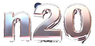 n20 logo